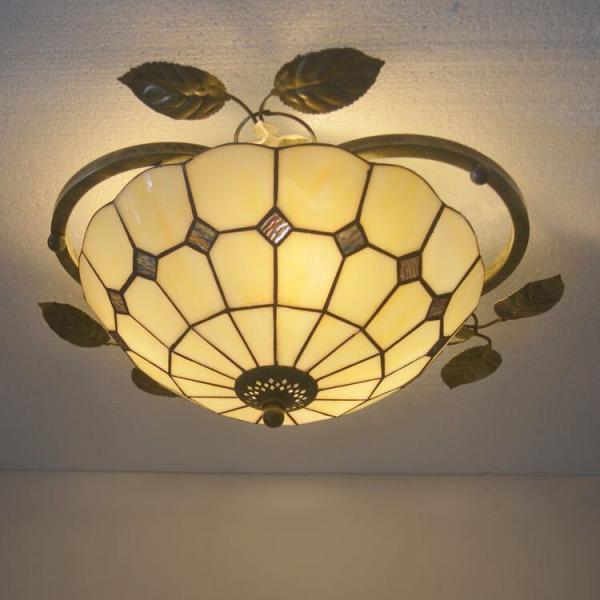 A24501 XehOXDy_gCgؓVƖXehOXv DKXH|i.