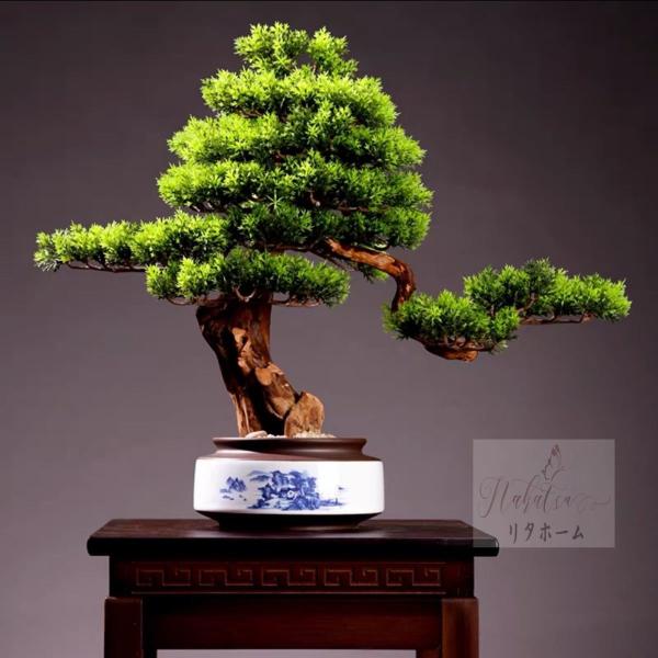 CeAO[ ͑}q~ u Tӌ}q~