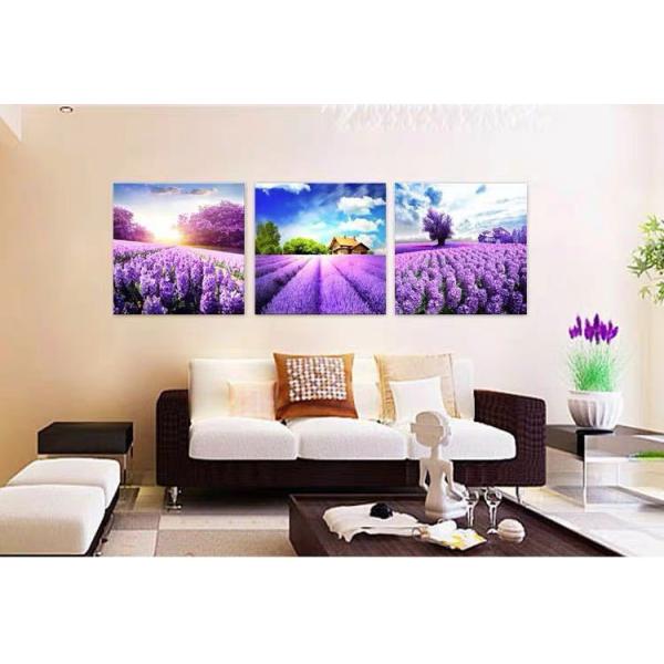 A36346 pA[gpl DGCeA Ǐ Gvg ǉ LoXvg|X^[3 zȂ 50x50 ʃTCY