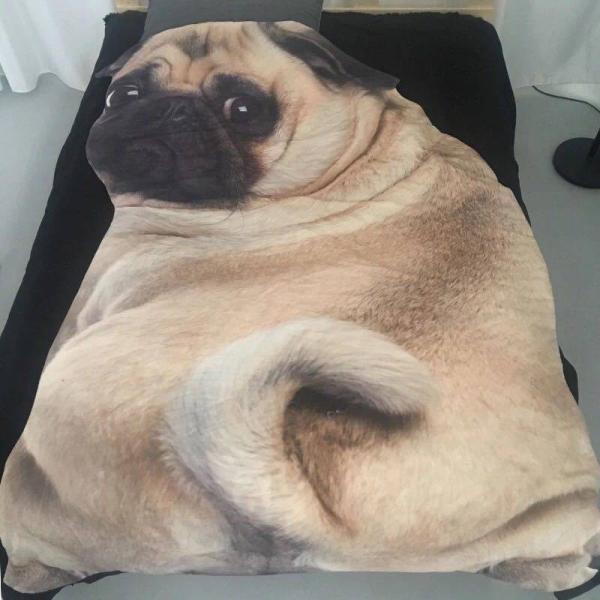 A03949 pOѕz uPbg h΍ Ђ| Ăzc80x115cm