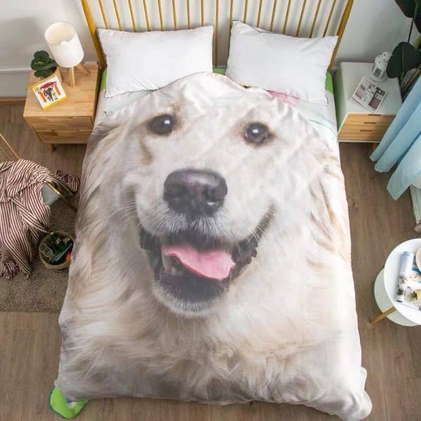 A12744  ѕz uPbg Ђ| Ăzc120x170 