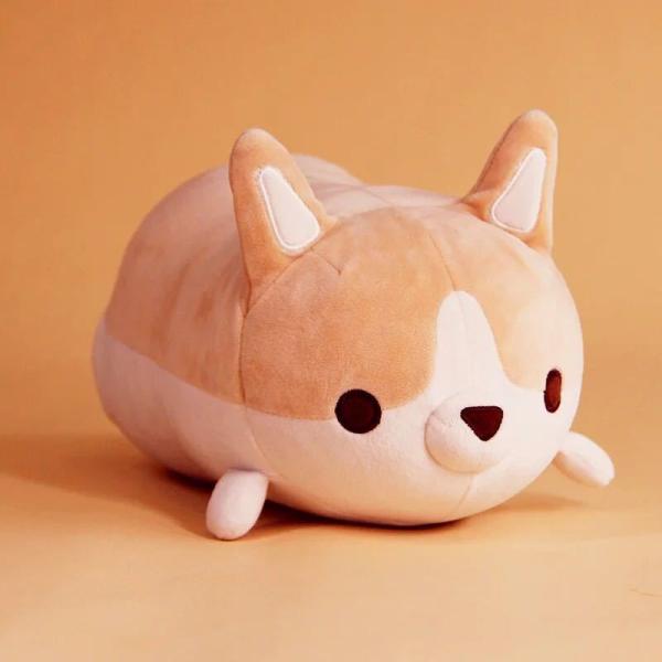 A03231 R[M[  ʂ R[M[G 