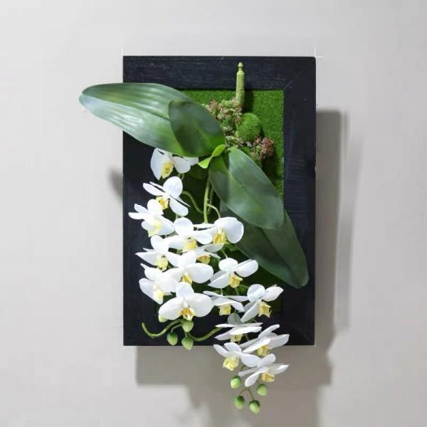 A34582 Ǐ DlHϗtA Ǌ|CeA fBXvC Ǌ|~bNXO[  Ǌ|