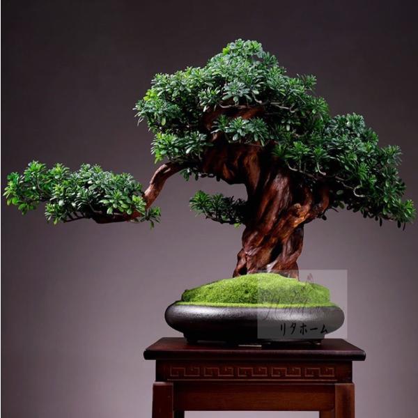 CeAO[D͑}q~ u Tӌ}q~