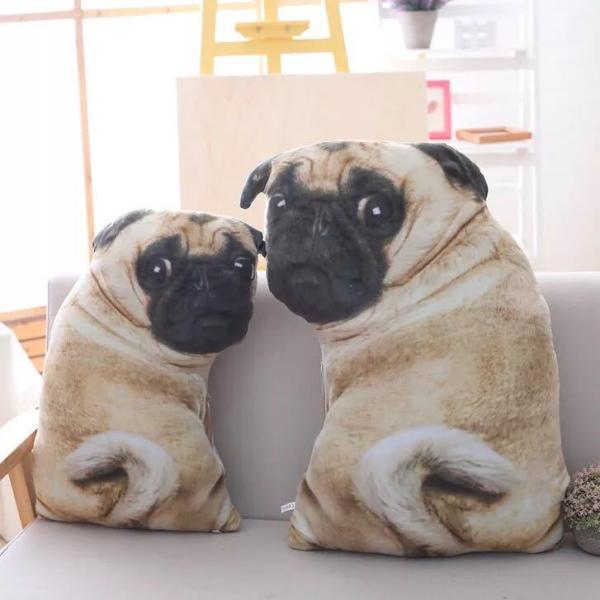 A03901 pO ʂ Q  CeA  pOG