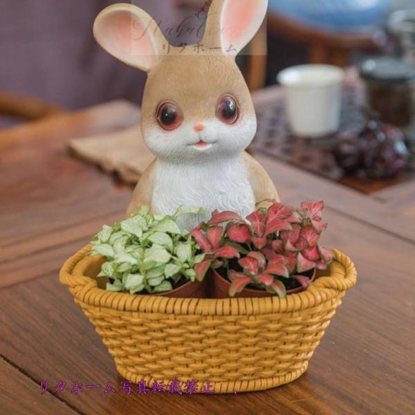 A23935 Vi [u Aؔ ~͍H|i  IuWF|bg [ A~