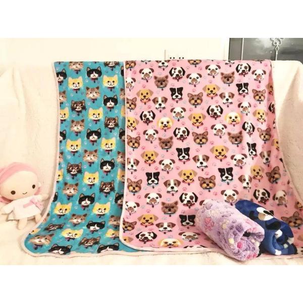 A35123 gѕz Qѕz ѕz uPbg@FIт܂