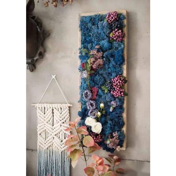 A32559 Ǐ lHϗtA DǊ|CeA fBXvC Ǌ|~bNXO[  Ǌ|