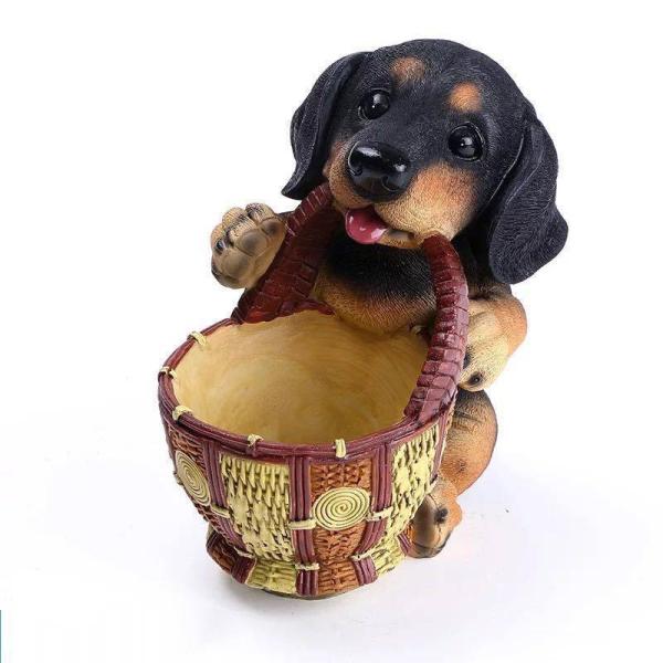 A02469 u hbO  [{bNX   D