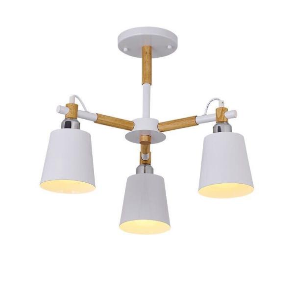 A20337 k VƖ V[OCgs ԐڏƖ