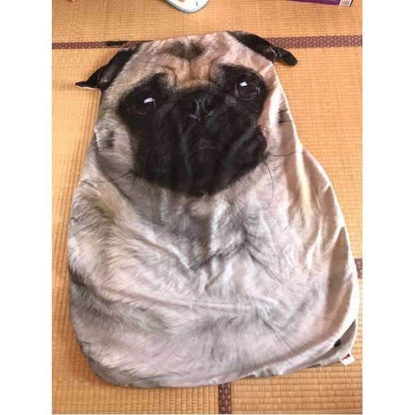 A04219  pOѕz uPbg h΍ Ђ| Ăzc80x115