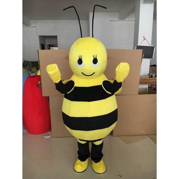 A18146 RXvߑ  lp  LN^[ nEB  I n`~