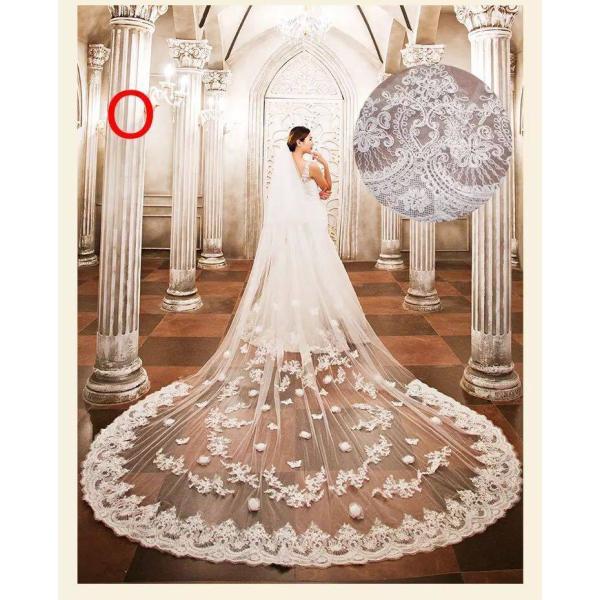 A24319 EGfBOx[ `Ox[ EFfBO [XEhJ x[UPVOK pD