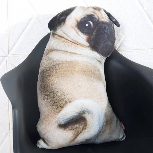 A00275 pO ʂ Q  CeA  pOG35*55