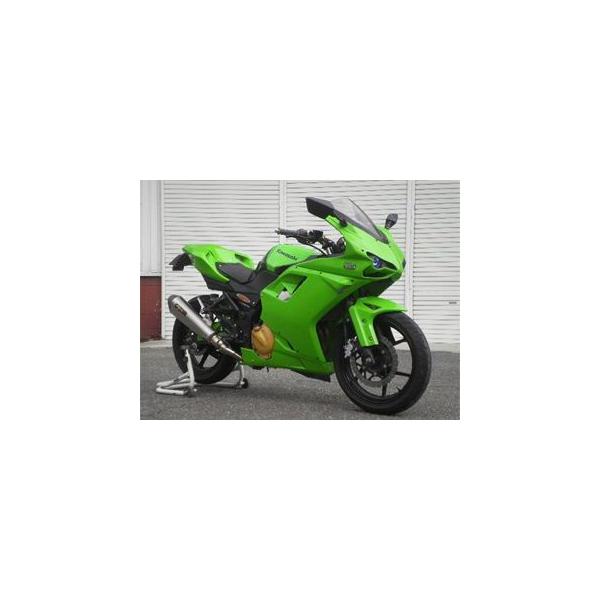 才谷屋ファクトリー Ninja250R フルカウル ストリート type1098 仕様