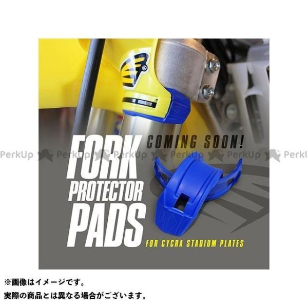 TCN ėp tH[NveN^[pbh X^WAio[v[gp J[ CG[ CYCRA oCN