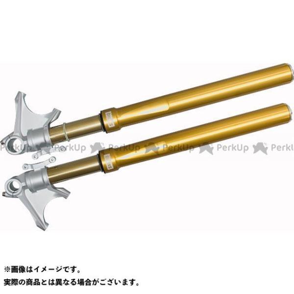 �I�[�����Y 1199 Panigale �t�����g�t�H�[�N FGRT200 DUCATI 1199 Panigale OHLINS