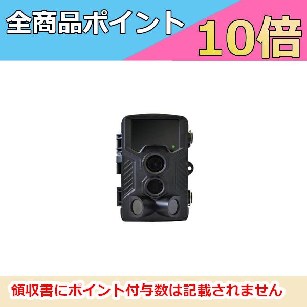 F.R.C.@GtA[V[@NX-RC800@W[J