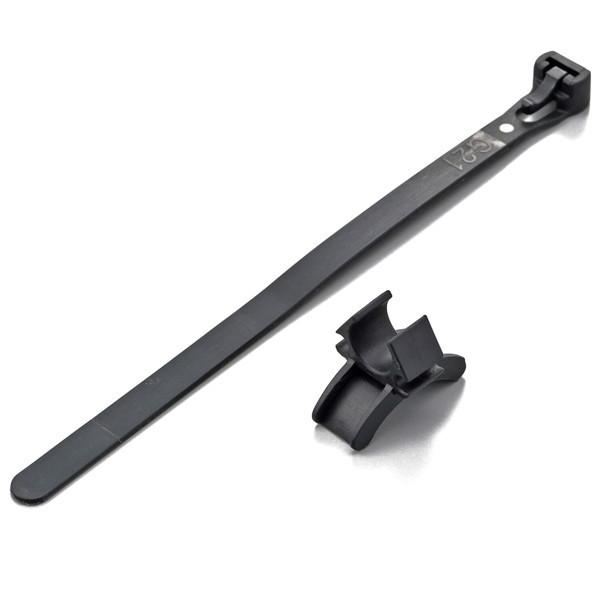 fCgi 17791 oCNp [dP[u Ci nhNv