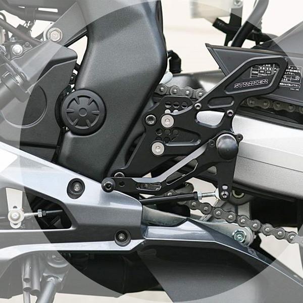 STRIKER（ストライカー） スペシャルステップキット TypeS&R Type2 17