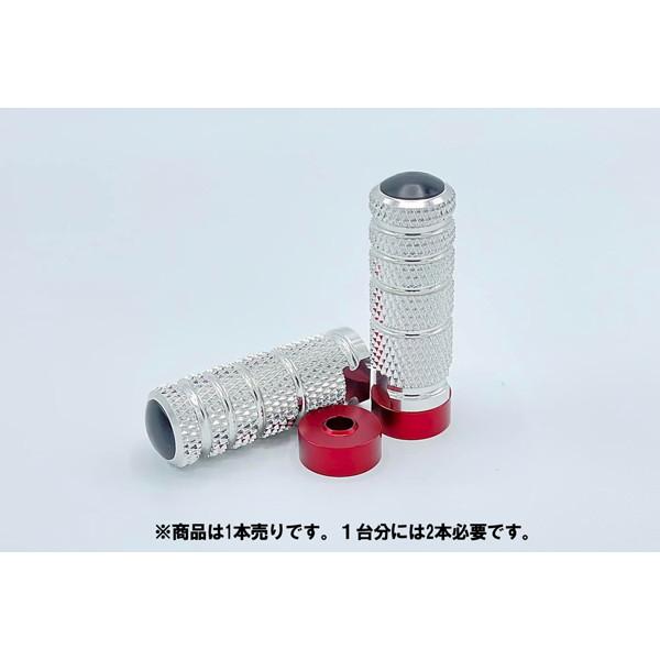 STRIKER（ストライカー） オプションパーツ レーシングステップバー SL