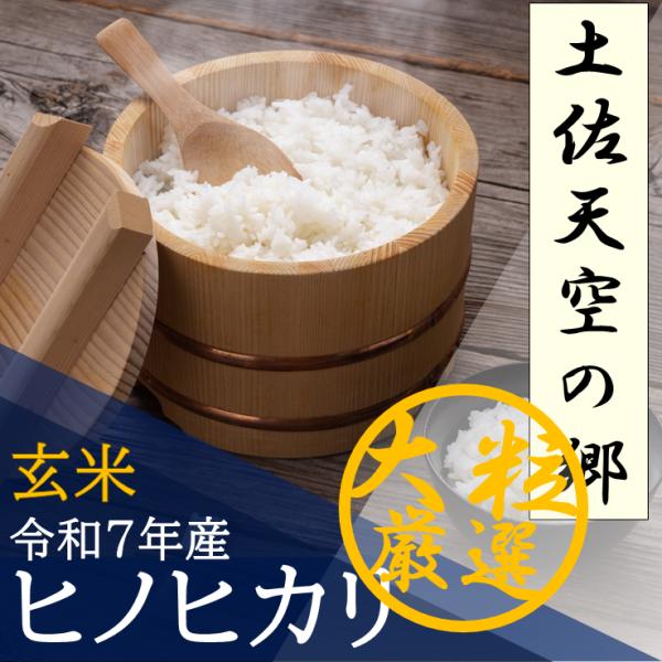 土佐天空の郷 ヒノヒカリ 玄米 5kg 令和7年産 高知県産 産地直送 送料 
