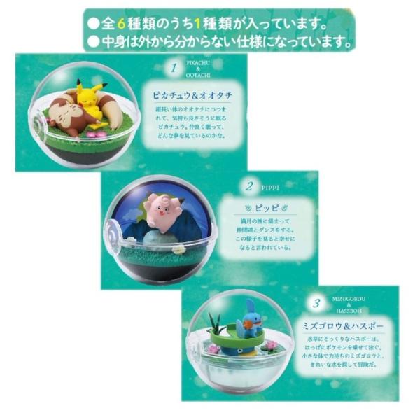 買い物 ポケモンテラリウム4種セットのうちミズゴロウu0026ハスボー 31f67a25 Sale セール 正規品 Www Cfscr Com