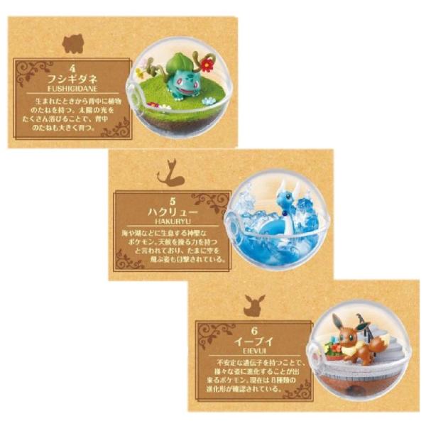 リーメント フィギュア かわいい ポケットモンスター テラリウムコレクション 女の子 小学生 中学生 子供 テラリウム ポケモン おしゃれ 誕生日プレゼント Dejapan Bid And Buy Japan With 0 Commission