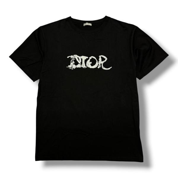 Dior × Peter Doig ディオール ピーター・ドイグ 21AW Oversize T 