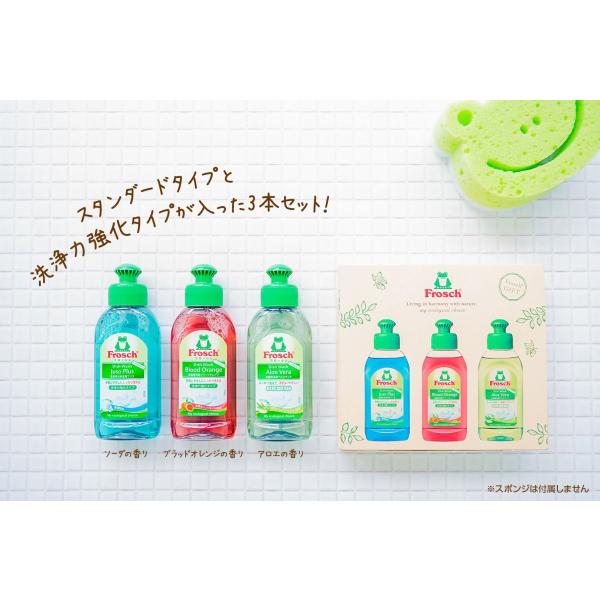 引っ越し 引越し 挨拶 品物 挨拶品 粗品 ギフト 景品 イベント 展示会 キッチンセット フロッシュ 食器洗剤 のしシール付き おうちをカエル あいさつ用 Buyee Buyee Japanese Proxy Service Buy From Japan Bot Online