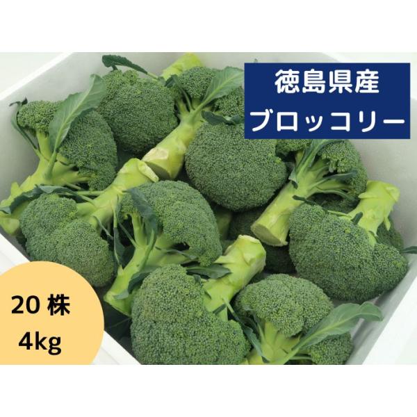 みちよ徳島県産 ブロッコリー 20個入 約6キロ×2セット 徳島県産 ブロッコリー 20個入 約6キロ - メルカリ