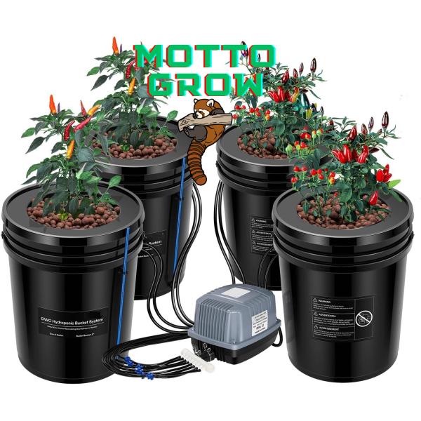 DWC 5ガロン4バケツ再循環ドリップ水耕栽培システム : MOTTOGROW植物