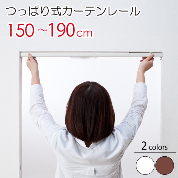 tlX bNJ[e[ tBbgiLk1.5m`1.9mj