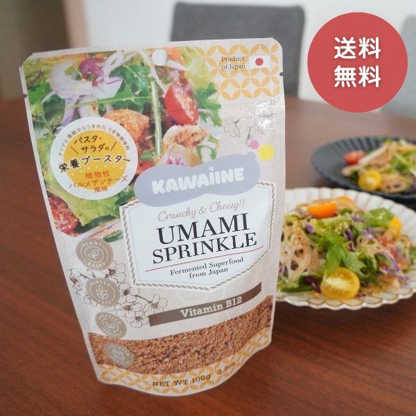 kawaiine 皮いいね パルメザンチーズ風味 酒粕 うまみ ブースター ビタミンB12 カシューナッツ 小袋入 1000円ポッキリ 送料無料♪