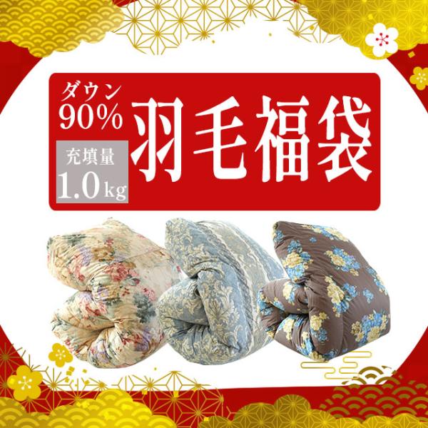 羽毛布団 福袋 シングル ダックダウン90％ 1.0kg 日本製 パワーアップ加工 羽毛掛け布団 色柄おまかせ エクセルゴールドラベル