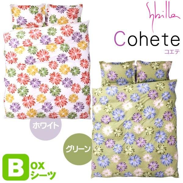 Vr {bNXV[c NC[ }`30cm RGe BOXV[c Sybilla { 100 }bgXJo[