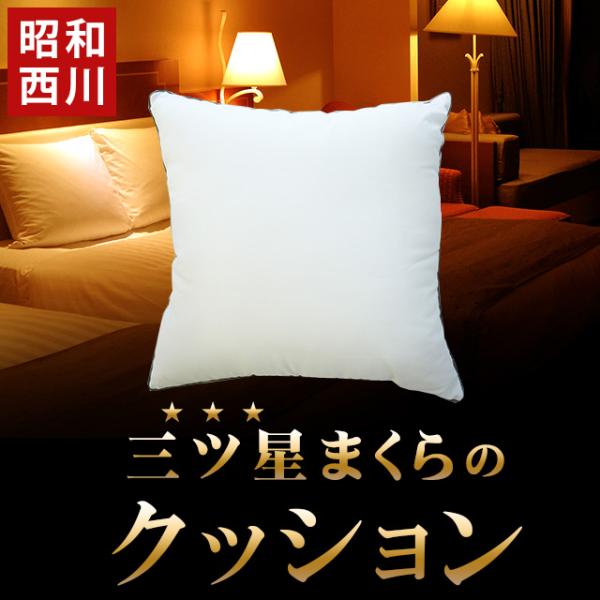 クッション 昭和西川 ウォッシャブル ホテルモード ピロー 洗える ヌードクッション 40×40×15cm ホテル仕様
