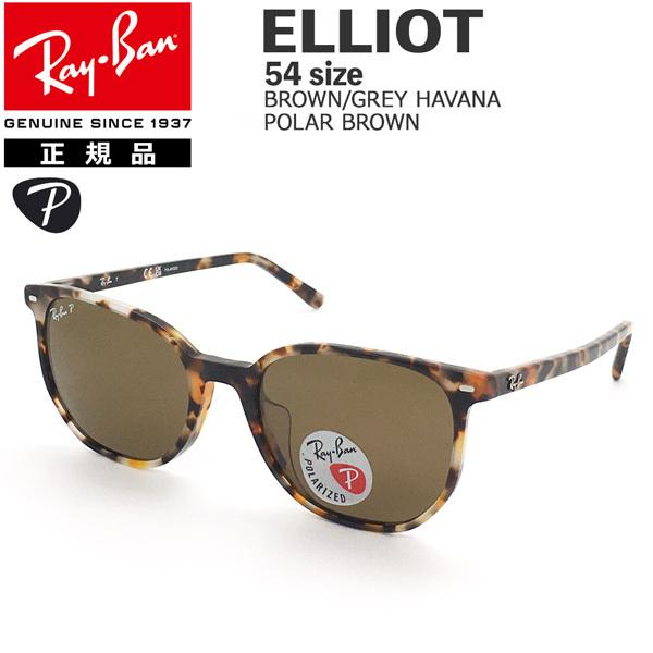 LEONARD レイバン サングラス 偏光レンズ エリオット RayBan