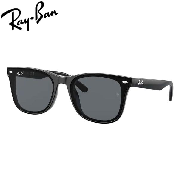 レイバン サングラス  RayBan RB4391D 601/87(65サイズ) BLACK / DARK GREY 日本限定デザイン アジアンフィット