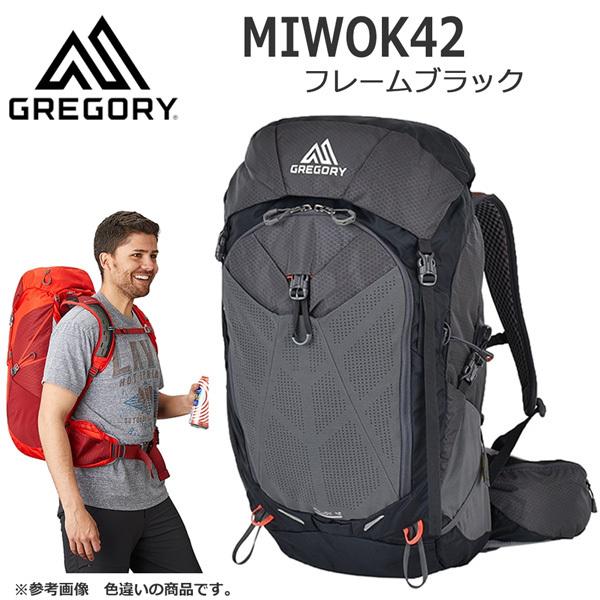 グレゴリー GREGORY ミオック42 MIWOK42 フレームブラック バック 