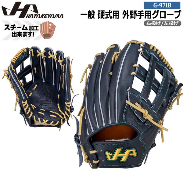 ハタケヤマ 一般 大人用 硬式 投手 野球 グローブ グラブ 希少な青系カラー ハタケヤマ（HATAKEYAMA） 野球 グラブ グローブ 一般 硬式用 G SERIES