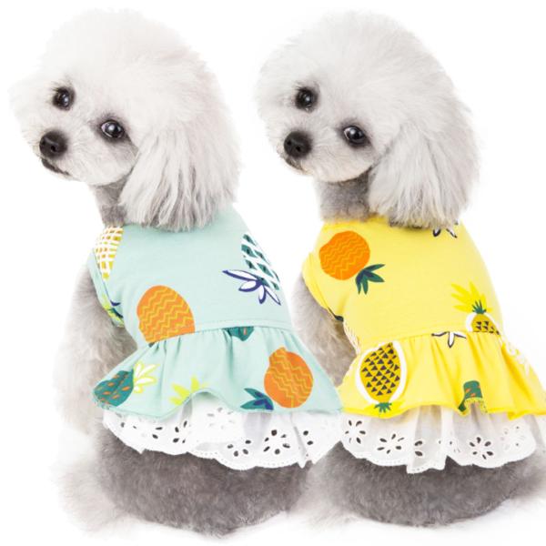 犬服 ペット服 ペット用品 秋冬 Mowmow 女の子用 男の子用 ワンピース スカート パイナップル かわいい Dcos0029 Dcos0029 Mowmow 通販 Yahoo ショッピング
