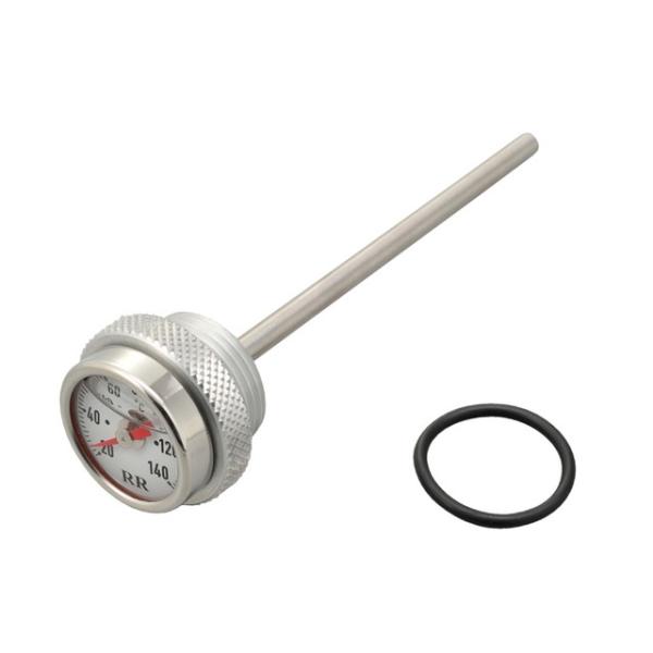 fCgi/RR fBbvXeBbNv SR400/SR500 (93260/zCg)