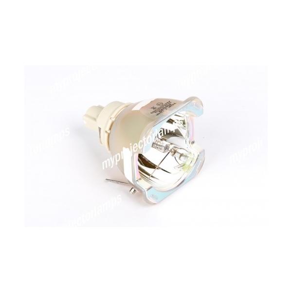 BARCO CLM W-6�p R9801015 �Ή� �y�����o���u�̗p�z�v���W�F�N�^�[�����p�����v���j�b�g���i