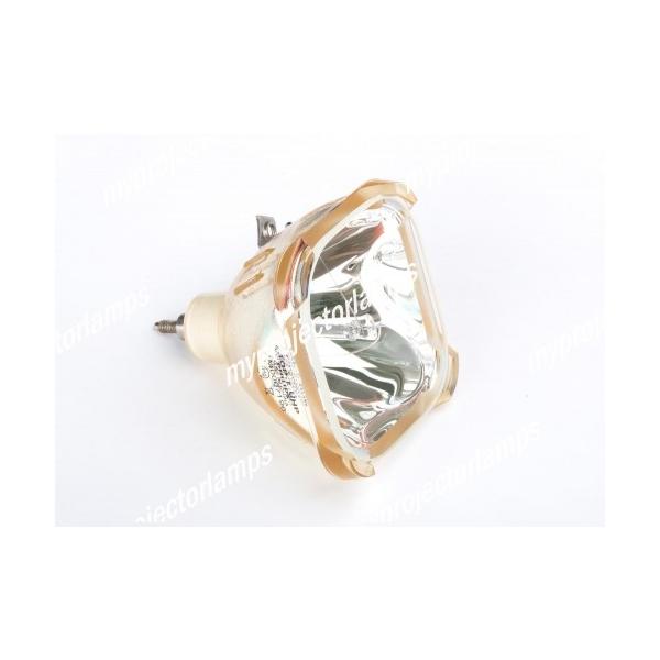 BARCO Reality SIM 4�p R9871111 �Ή� �y�����o���u�̗p�z�v���W�F�N�^�[�����p�����v���j�b�g���i