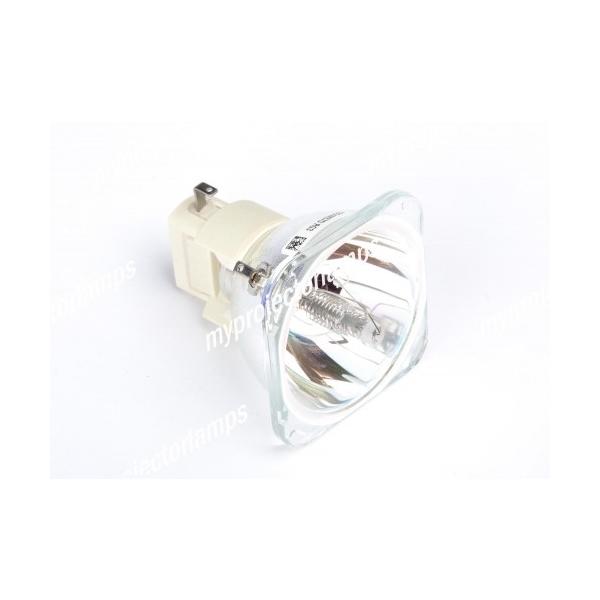 BENQ MP727�p 5J.Y1B05.001 �Ή������o���u�̗p�v���W�F�N�^�[�����p�����v���j�b�g���i
