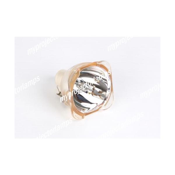 BENQ W7000p 5J.J3905.001 Ήou̗pvWFN^[pvjbgi