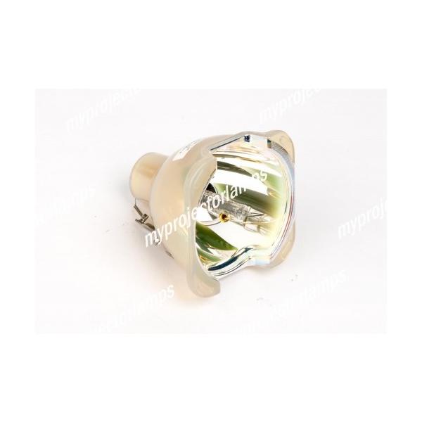 Boxlight PRO4500DP (RIGHT)p AH-45002 Ήou̗pvWFN^[pvjbgi