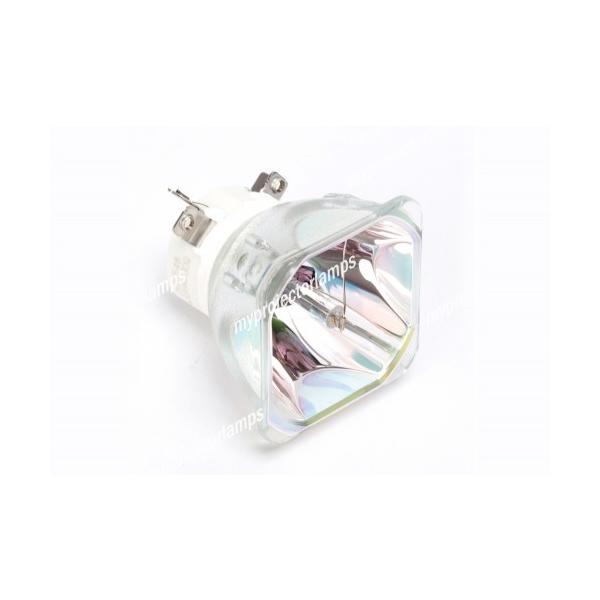 BOXLIGHT Seattle X26Np Seattle-X26N-930 Ήou̗pvWFN^[pvjbgi