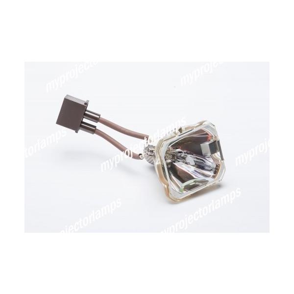 Marantz VP12U1M (Female Plug)�p LU-12VPS3 �Ή� �y�����o���u�̗p�z�v���W�F�N�^�[�����p�����v���j�b�g���i
